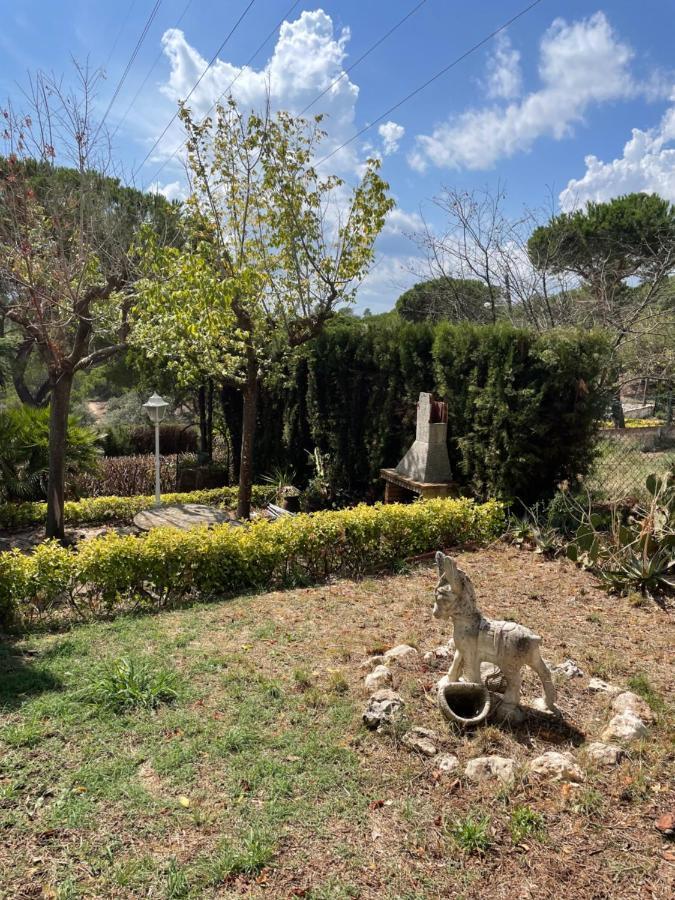 Villa Herlinda Costa Brava - With Swiming Pool Massanet De La Selva Exterior photo