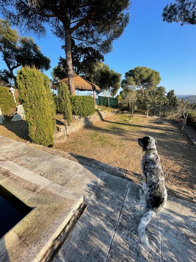 Villa Herlinda Costa Brava - With Swiming Pool Massanet De La Selva Exterior photo