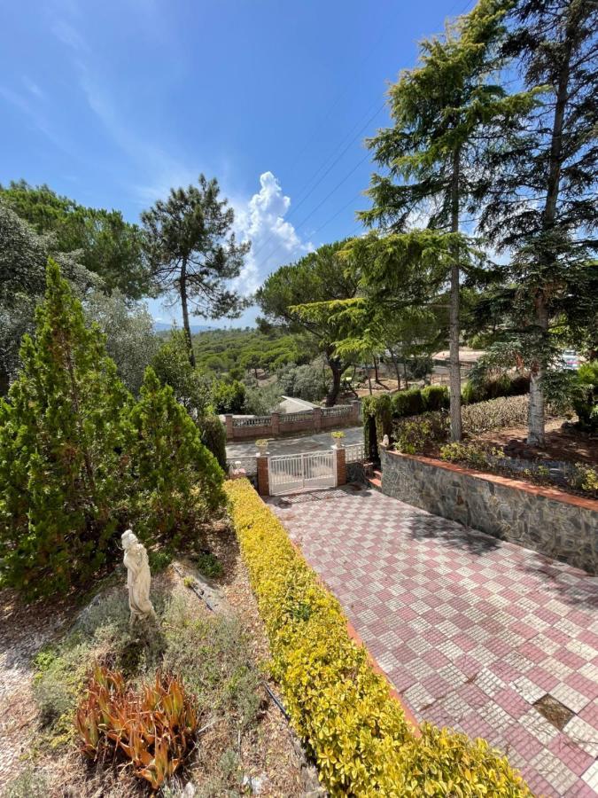 Villa Herlinda Costa Brava - With Swiming Pool Massanet De La Selva Exterior photo